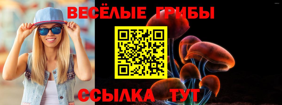 Псилоцибиновые грибы GOLDEN TEACHER  Вход с VPN  Среднеуральск 